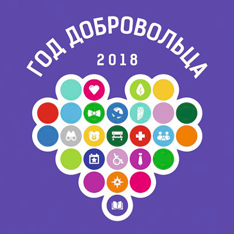 Год Добровольца 2018